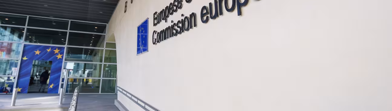 European Commission entrance carousel