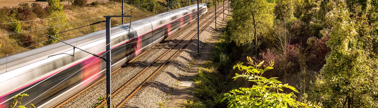 Cover_2025.10539-ERA-Study_AdobeStock_rochagneux - carousel